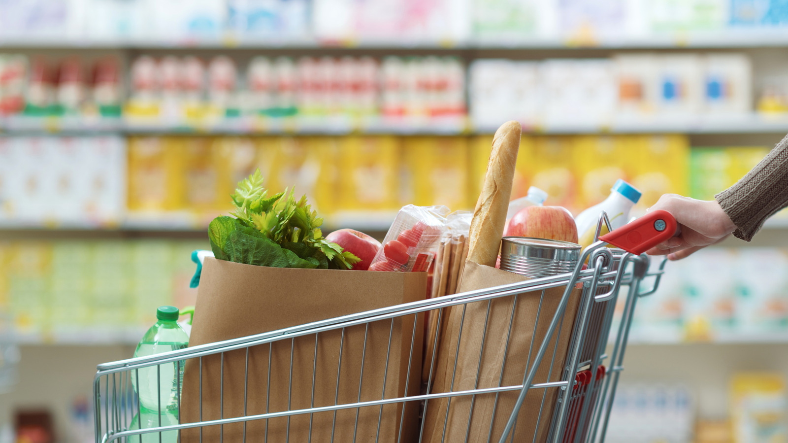 この食料品を大量に購入することは常に避けてください