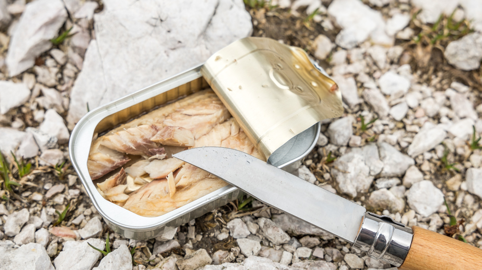 ツナを魚の缶詰に替えてサラダをグレードアップしましょう